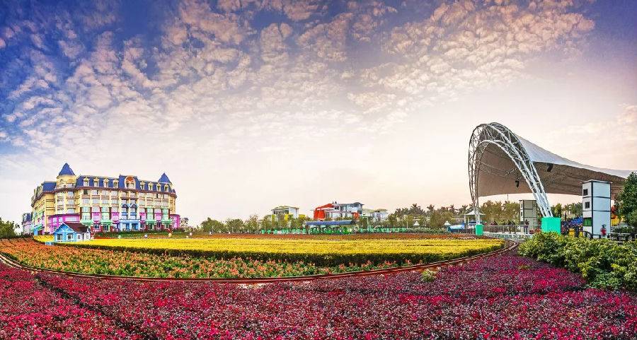 去百万葵园旅游,带小孩去百万葵园玩