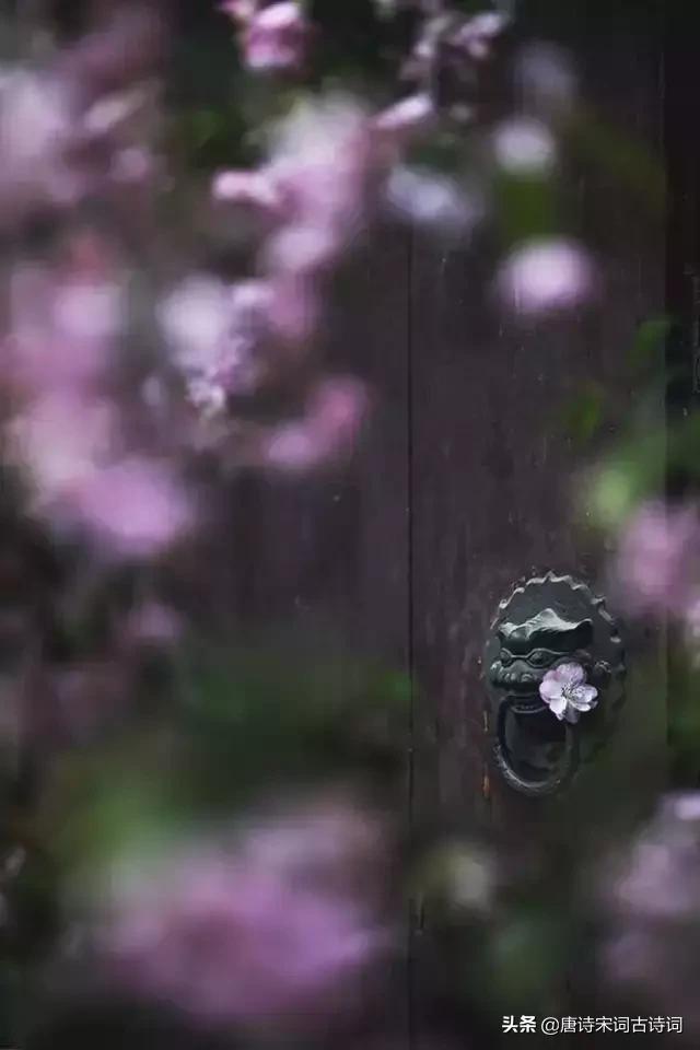 负你一生多少泪，月下花前