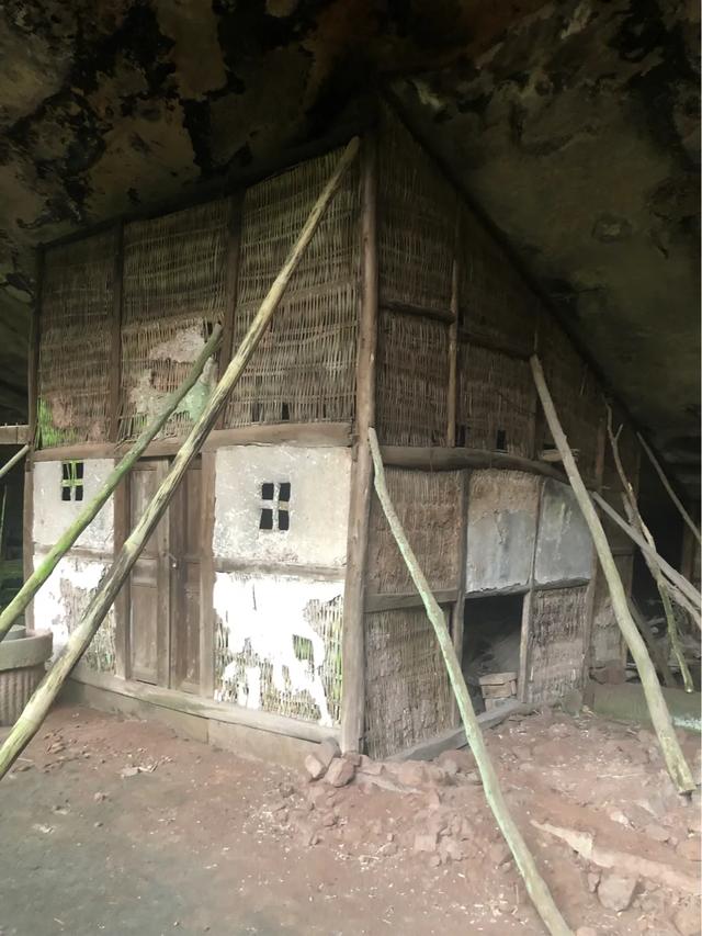 马家岩紫色花树,马家岩宜居