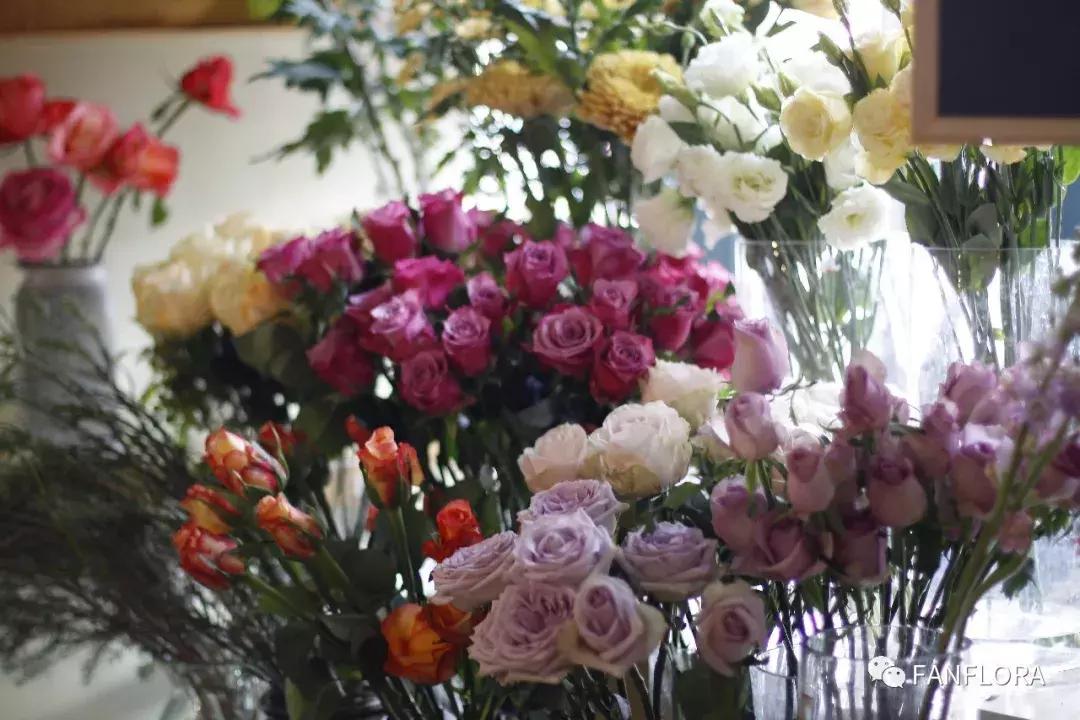 凡花丨开一家洒满阳光的花店，愿灵魂每个角落长满香气