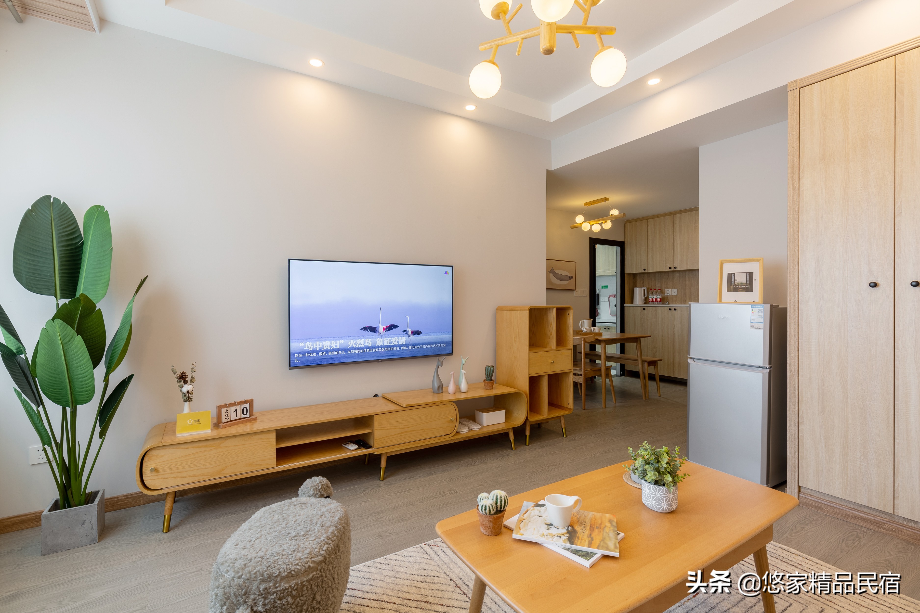 悠家民宿未来发展,后民宿