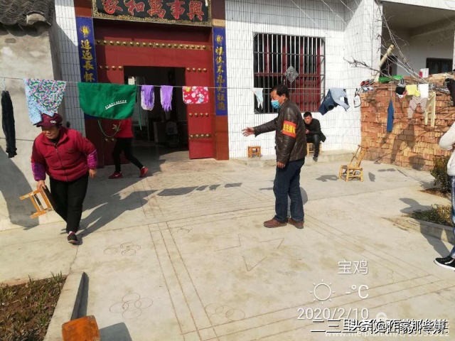 扶风杏林菊花村,宝鸡扶风杏林菊花村