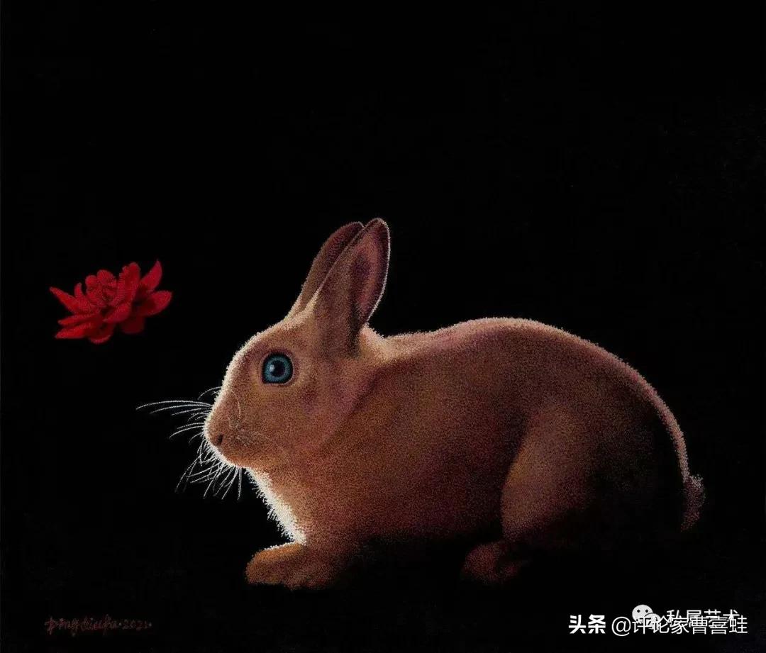 曹喜蛙,曹喜蛙简介