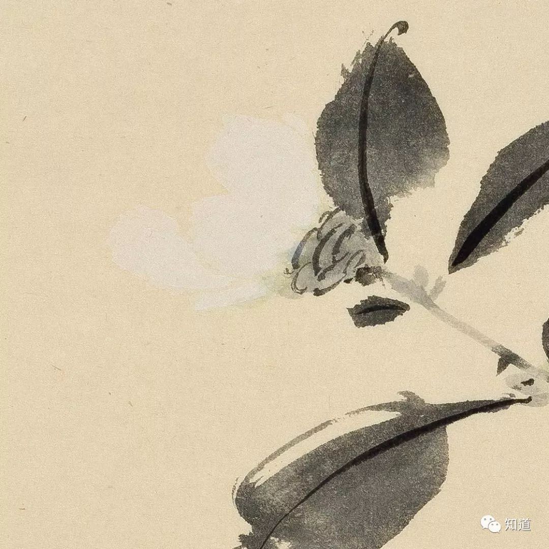 绘画必须明白的知识,绘画必须要学会什么