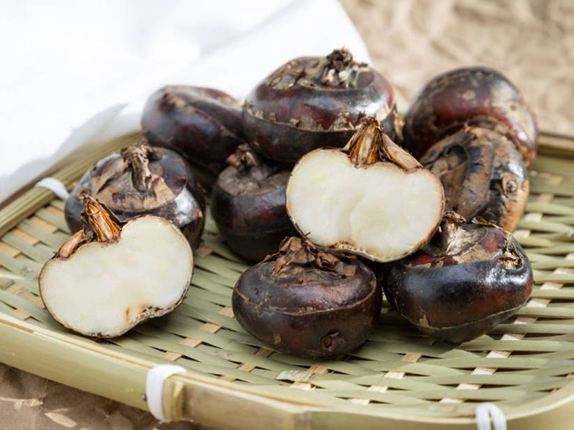 地梨怎么包饺子,怎么调地梨猪肉馅