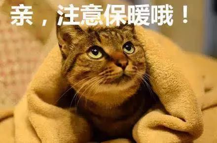 对付鼻炎小妙招植物,对付鼻炎最好的药