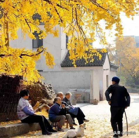 江苏旅游西山岛攻略图文,内湖洞庭西山岛