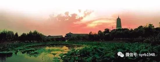 我叫沈阳,我叫沈阳话