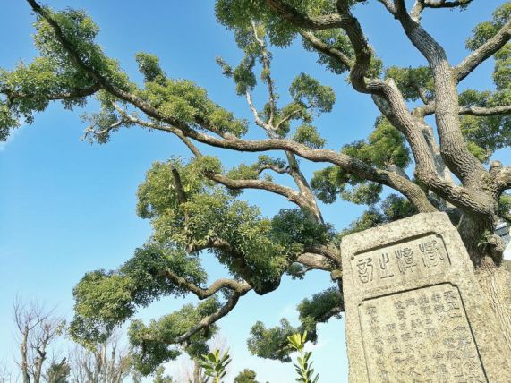 王思聪和李易峰关系有多好,王思聪和李易峰的区别