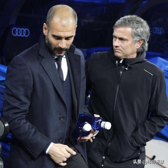 荷兰郁金香克鲁伊夫,克鲁伊夫郁金香