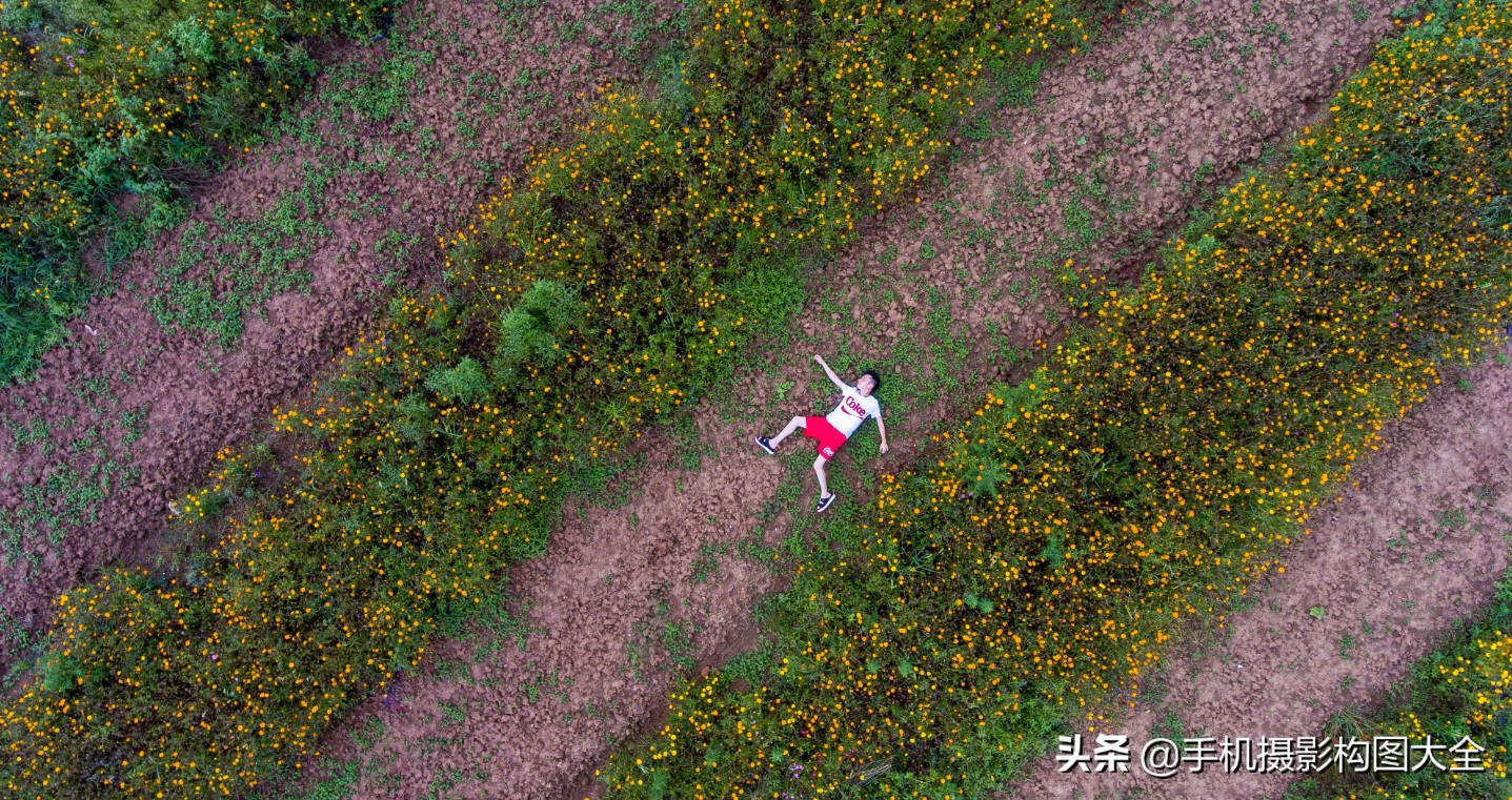 手机摄影拍出好照片10个技巧,适合初学者的手机摄影教程图