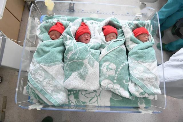 90后宝妈生四对龙凤胎,高龄妈妈生双胞胎几率