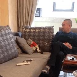 养猫后儿子鼻过敏,妈妈心生一计:不如你搬出去住吧!