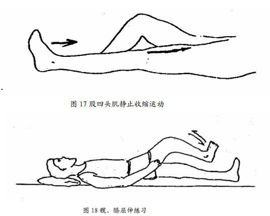 骨折筋伤哪个更容易恢复,骨折后伤筋动骨怎么恢复