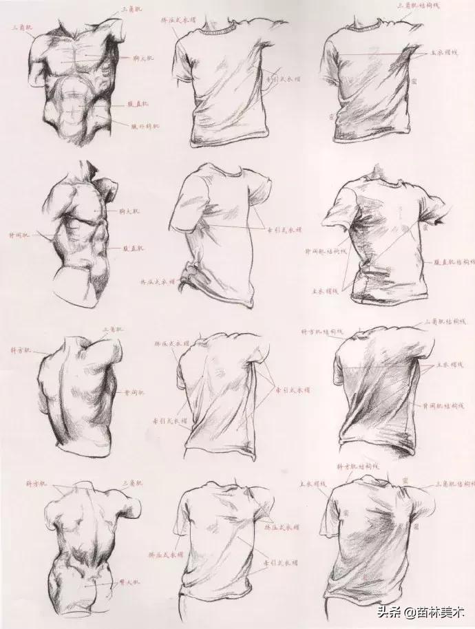 各种衣褶画法,衣褶不会上色