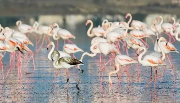 塞浦路斯七日游,塞浦路斯比心旅游攻略