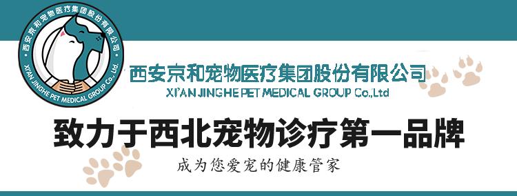 脱毛皮肤痒怎么回事,皮肤瘙痒诱发的原因是什么