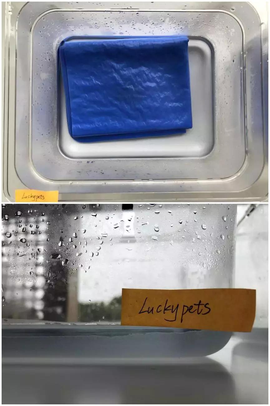 一次性宠物浴巾测评,宠物浴巾测评