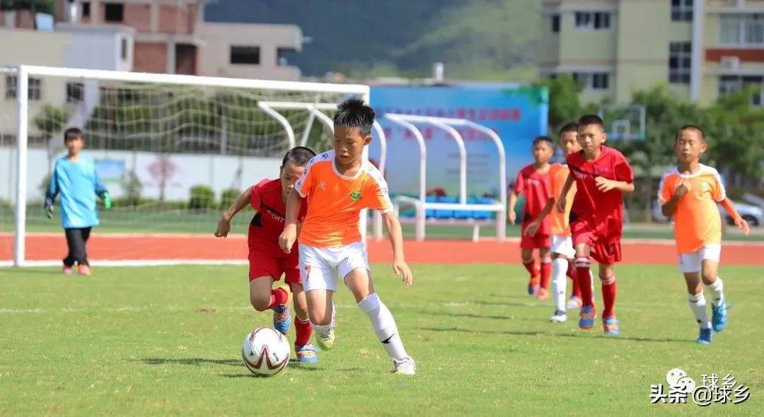 区中小学足球联赛,体教融合杯中学篮球赛