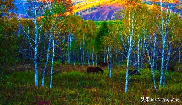 收藏丨中国最美的30个地方