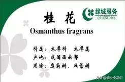 物业人文关怀服务,物业亲情化服务方案