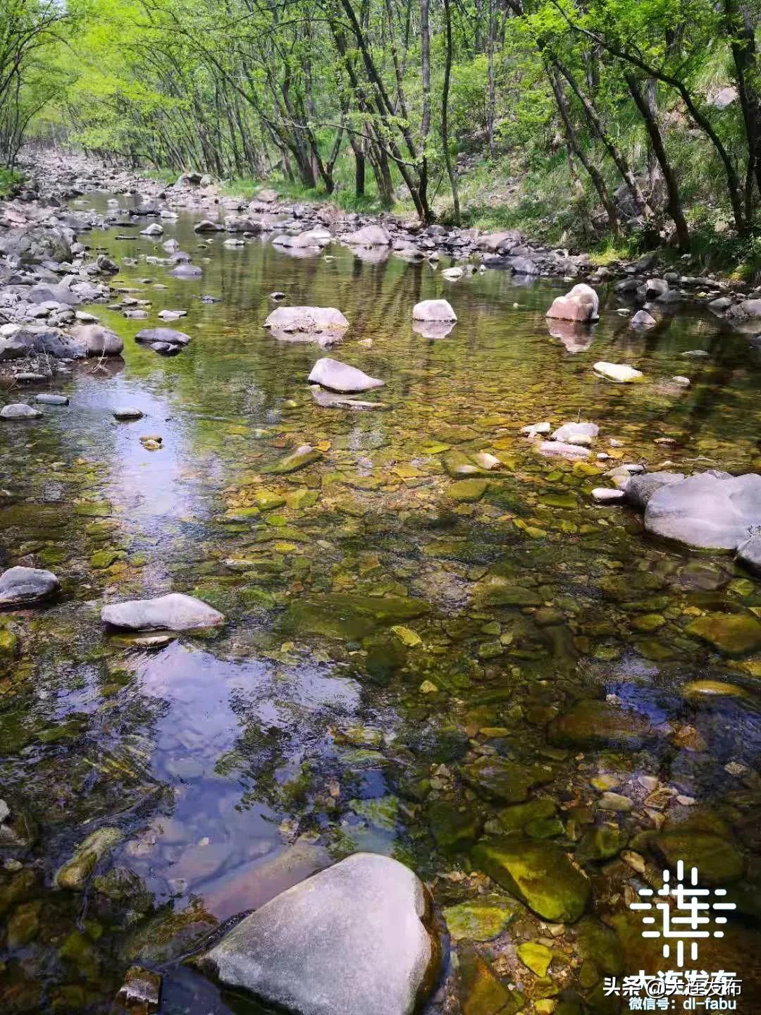 大连最美赏槐露营地,槐之乡露营地