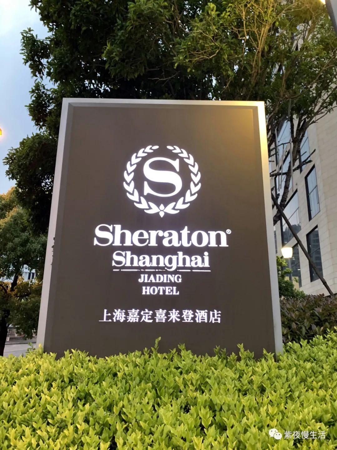 慢生活惬意悠闲,悠闲惬意上海