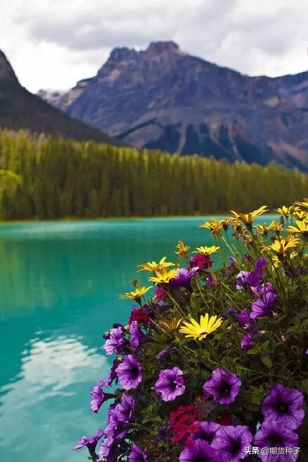 中国股灾发生的根本原因,股灾是什么原因引起的