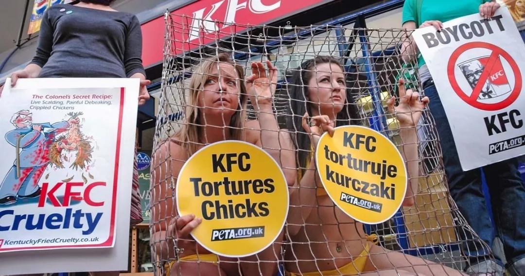 西方政治正确大逃杀:女权、LGBT、黑人谁能吃鸡?