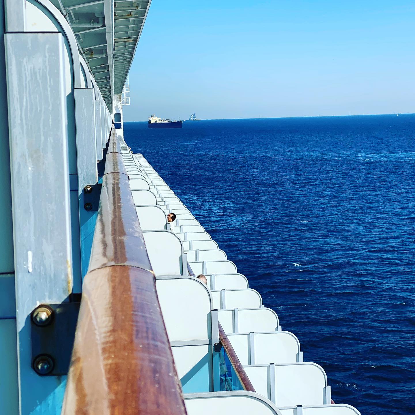 钻石邮轮公主号最新消息,钻石公主号邮轮管辖问题