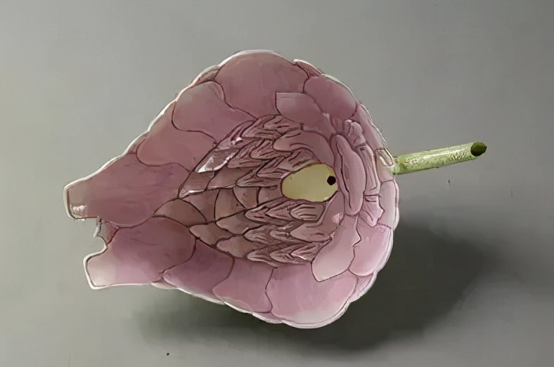 辣眼睛设计,辣眼睛的3d建模