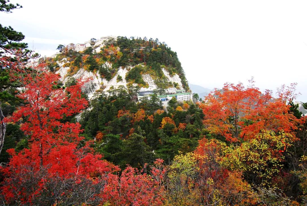 自由行华山一日游最佳路线,华山一日游最佳路线攻略步行图
