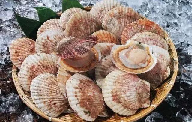 哪种海鲜的味道最鲜美,世界上最鲜美的海鲜