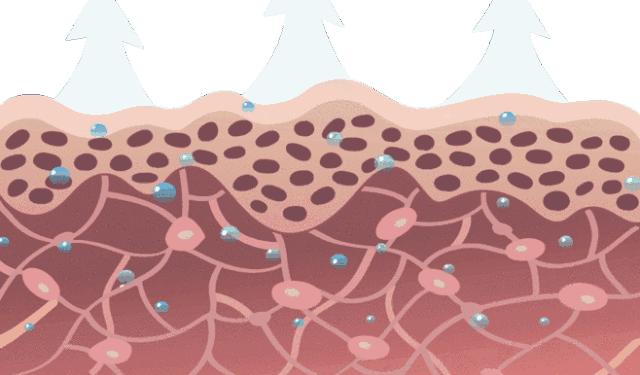 药学博士保湿化妆品,药学博士护肤品推荐