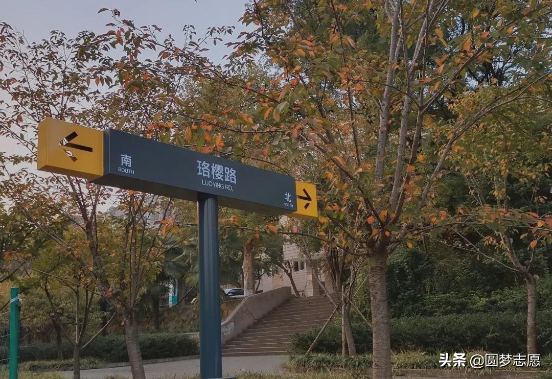 武汉理工大学是最顶尖的211高校吗,武汉被称为皇家理工学院