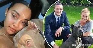 如何让狗子变得更听话,怎么让狗子越来越听话