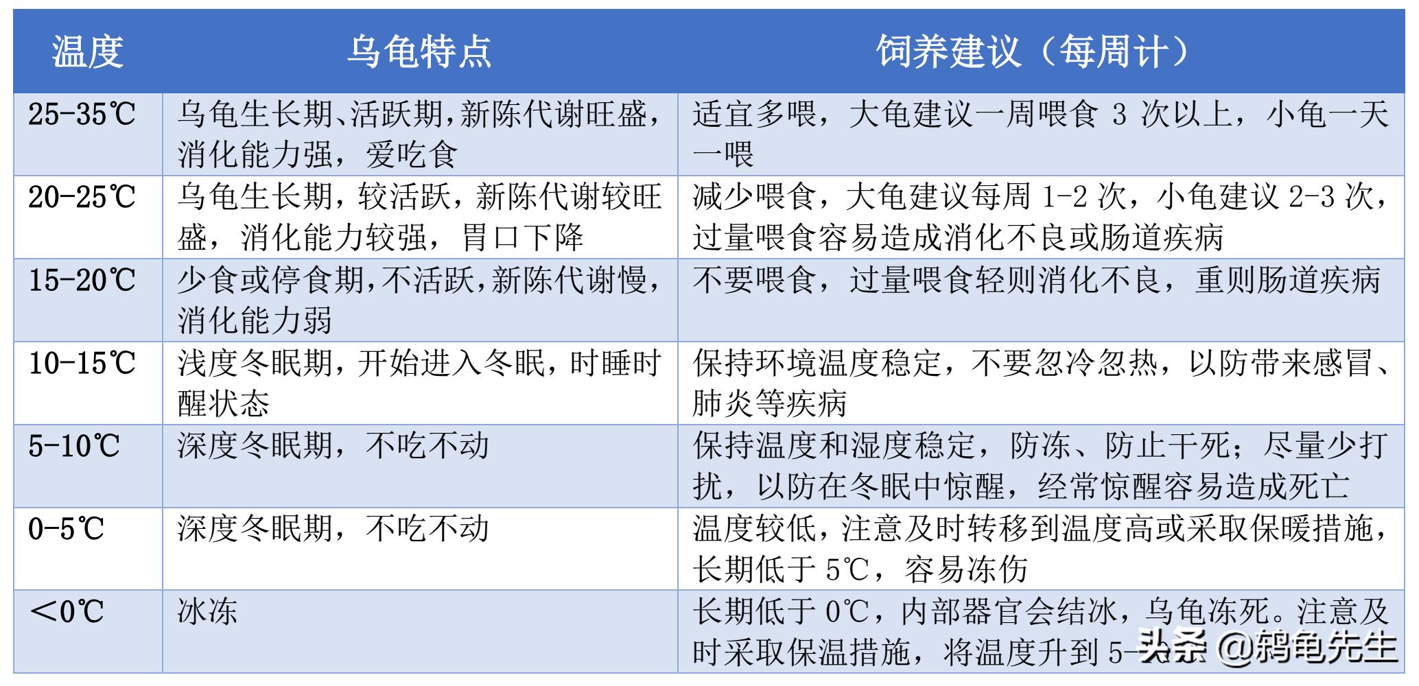 乌龟冬天喂食干养的正确方法,冬天怎样饲养乌龟乌龟吃什么