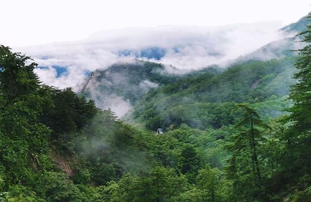 宝天曼漂流团游,宝天曼景区一日游攻略最新