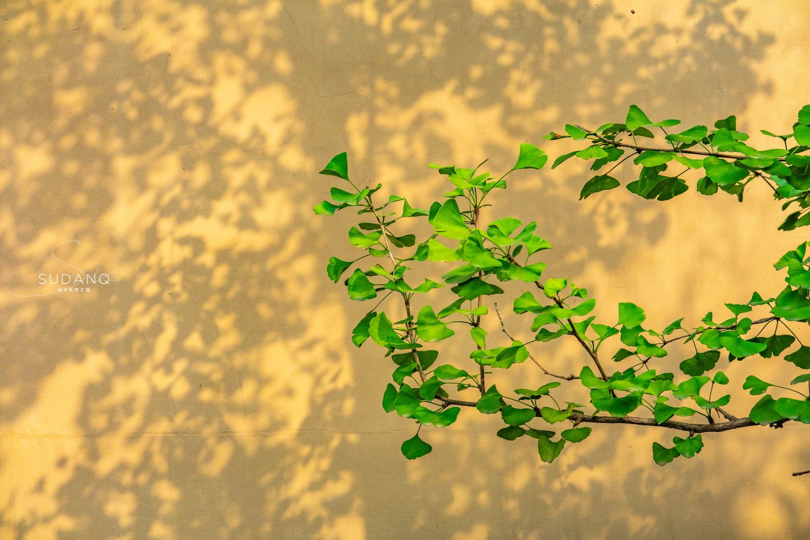 陕西深山老林世外桃源,陕西杨凌旅游攻略