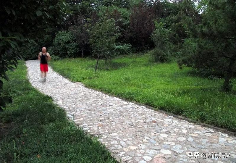 热爱生活从每日跑步开始,跑步让我感受健康和快乐