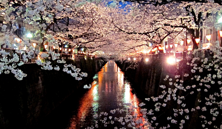 第一次去日本旅游注意哪些事项,去日本旅游最详细攻略