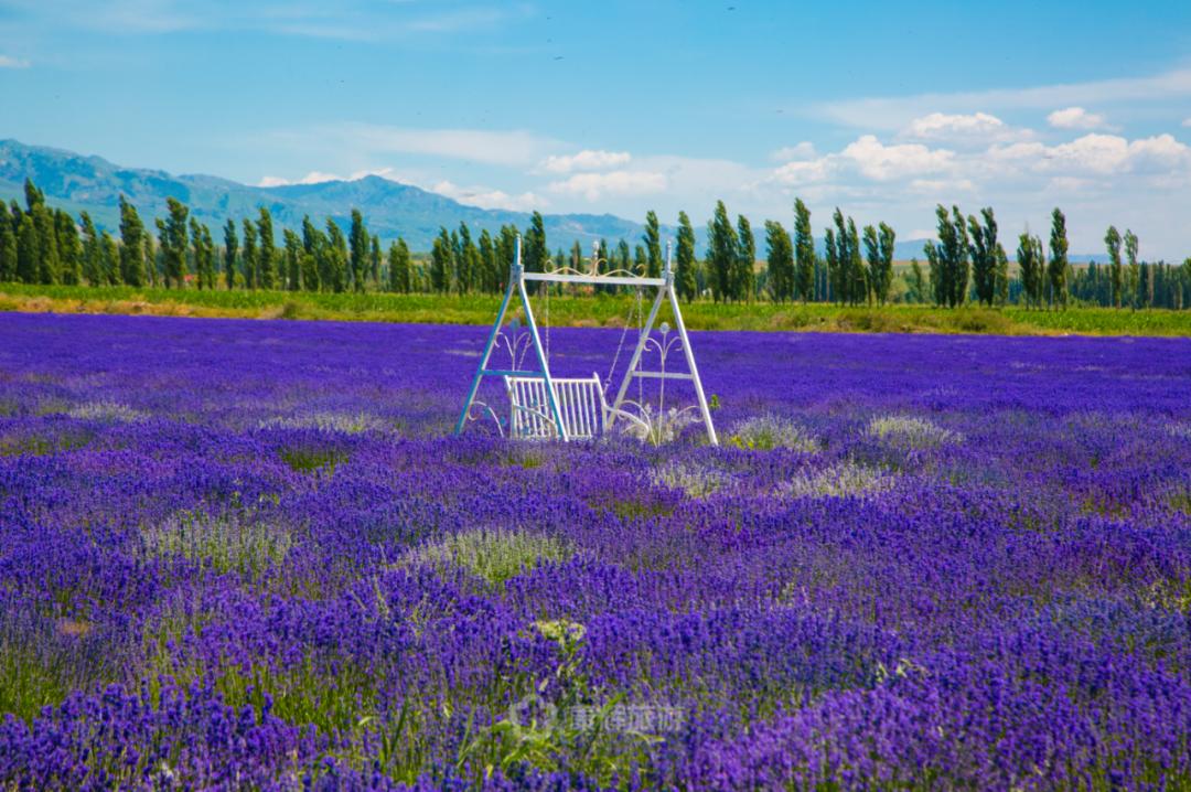 旅行中的故事讲述,旅行过程中的故事