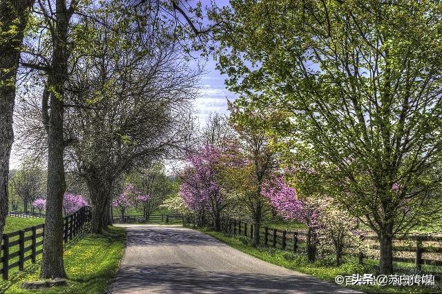 中国最大的内陆湖鱼,中国哪里湖的鱼最贵