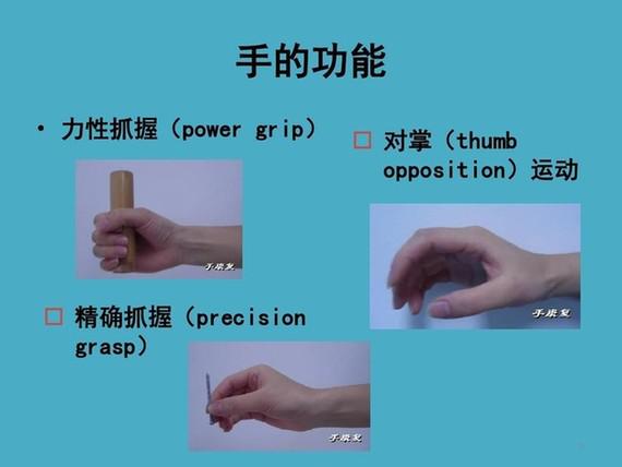 防治腱鞘炎最好的动作,预防腱鞘炎的关键有哪些