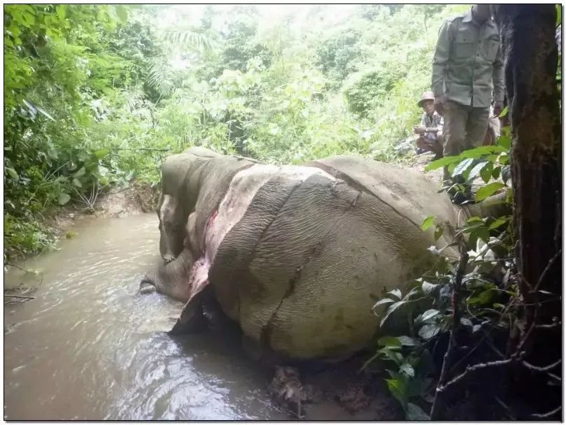 文玩的十大黑幕,文玩最让人无奈的六件事