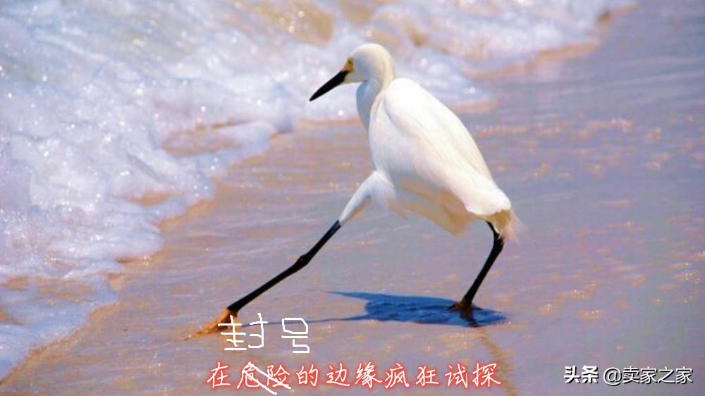 亚马逊listing投放策略,亚马逊listing无关键词