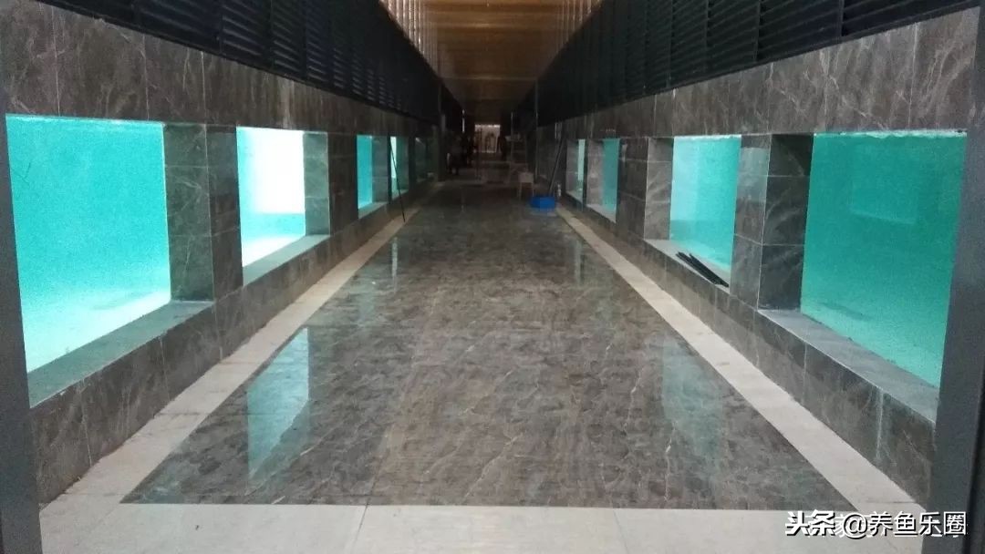 这位土豪家的渔场,光滤材就花了500多万,你确定不要见识一下?