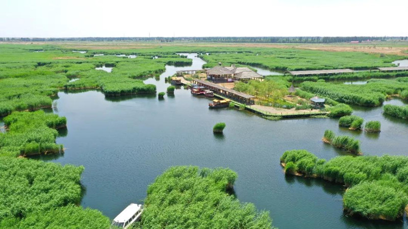 美不美，先看水！走进纳林湖，看巴彦淖尔水美