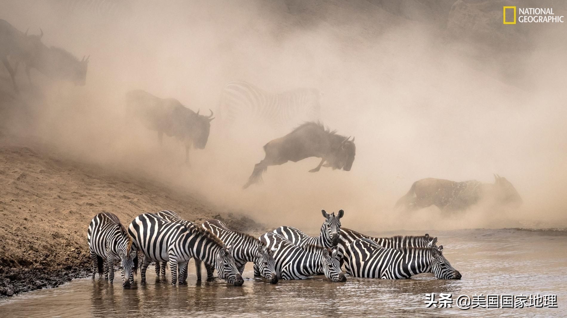 万中选一!大自然是怎样赋予照片灵魂的?