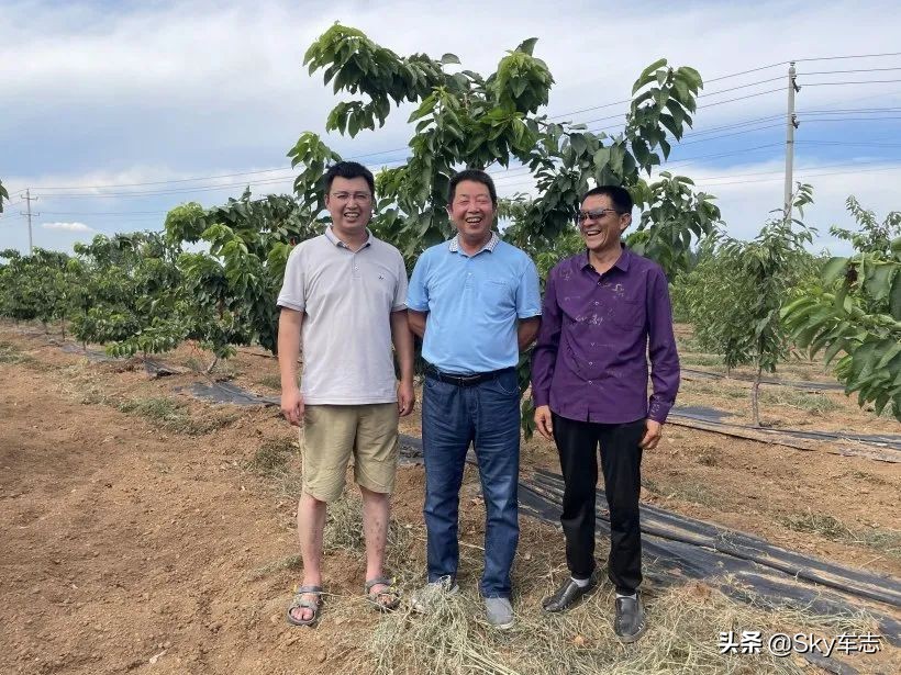 7万公里老款宝马x5,宝马x5的优缺点